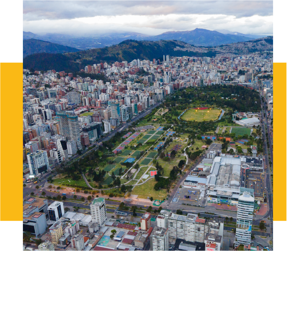 Estudio de impacto en la movilidad y calidad de arbolado urbano en el polígono del proyecto APPA Estudio de impacto en la movilidad y calidad de arbolado urbano en el polígono del proyecto APPA